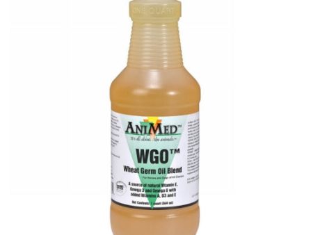 Wheat Germ Oil Blend 1 Count by Animed Fashion