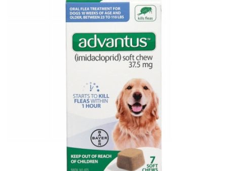 Advantus Flea Treatment Soft Chews for Dogs 23-110 Lbs by Elanco Cheap