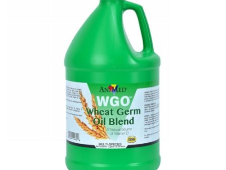 Wheat Germ Oil Blend 1 Gallon by Animed For Discount