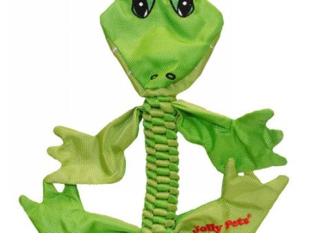 Animal Flathead Dog Toy Medium Alligator 1 Count by Jolly Pets on Sale