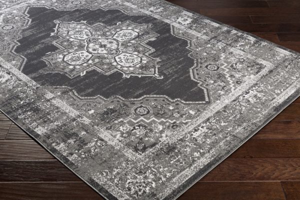 Surya Rafetus ETS-2314 Area Rug Discount