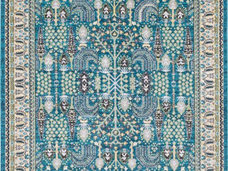 Surya Rafetus ETS-2312 Area Rug Cheap