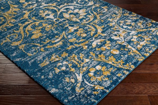 Surya Vintage Shag VTS-4101 Area Rug Cheap