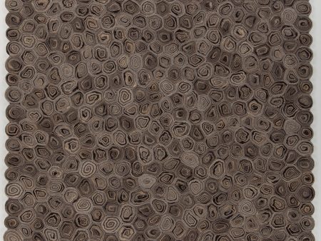 Chandra Patagonia PAT-46800 Taupe Brown Beige Area Rug Online