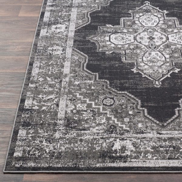 Surya Rafetus ETS-2314 Area Rug Discount