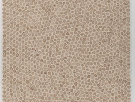 Chandra Patagonia PAT-46801 White Brown Beige Area Rug For Cheap