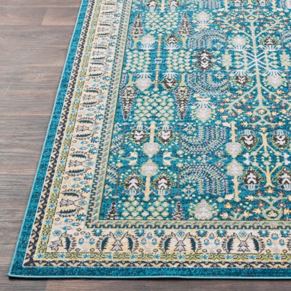 Surya Rafetus ETS-2312 Area Rug Cheap