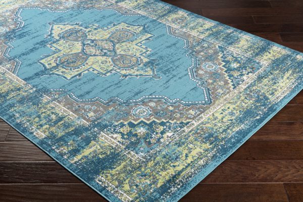 Surya Rafetus ETS-2315 Area Rug For Sale