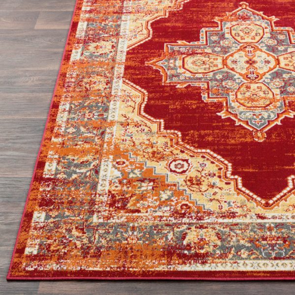 Surya Rafetus ETS-2317 Area Rug Online