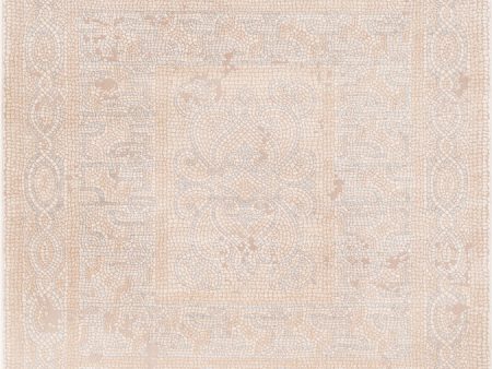 Surya Venezia VNZ-2305 Area Rug Online now