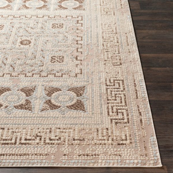 Surya Venezia VNZ-2302 Area Rug Fashion