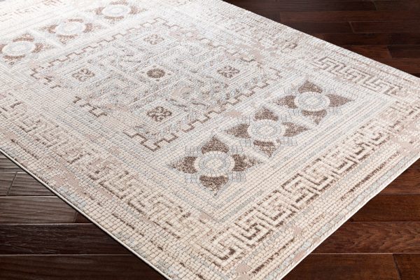 Surya Venezia VNZ-2302 Area Rug Fashion